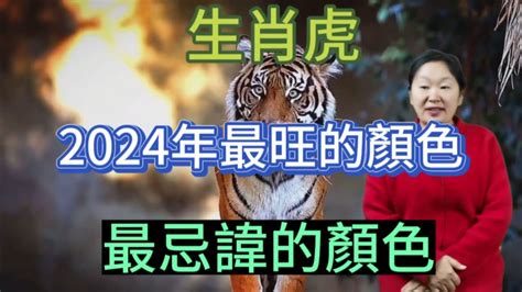 屬虎 顏色|屬虎的吉祥顏色有哪些？探討生肖虎的色彩運勢與搭配技巧